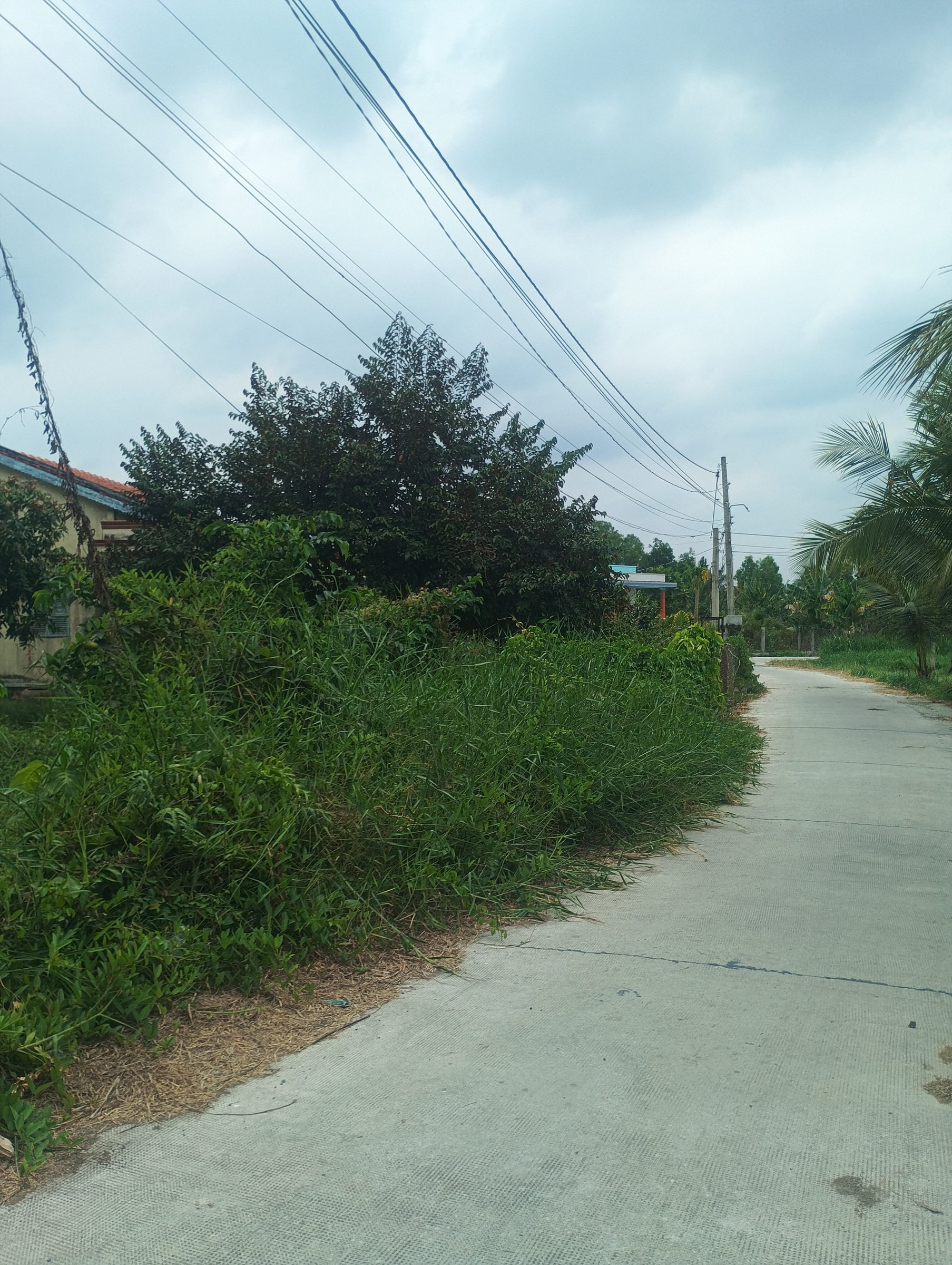 HIẾM CÓ KHÓ TÌM – 1000m² FULL THỔ CƯ - VUÔNG VỨC - GIÁ CHỈ 5.450 TỶ NGAY SÁT BÌNH CHÁNH