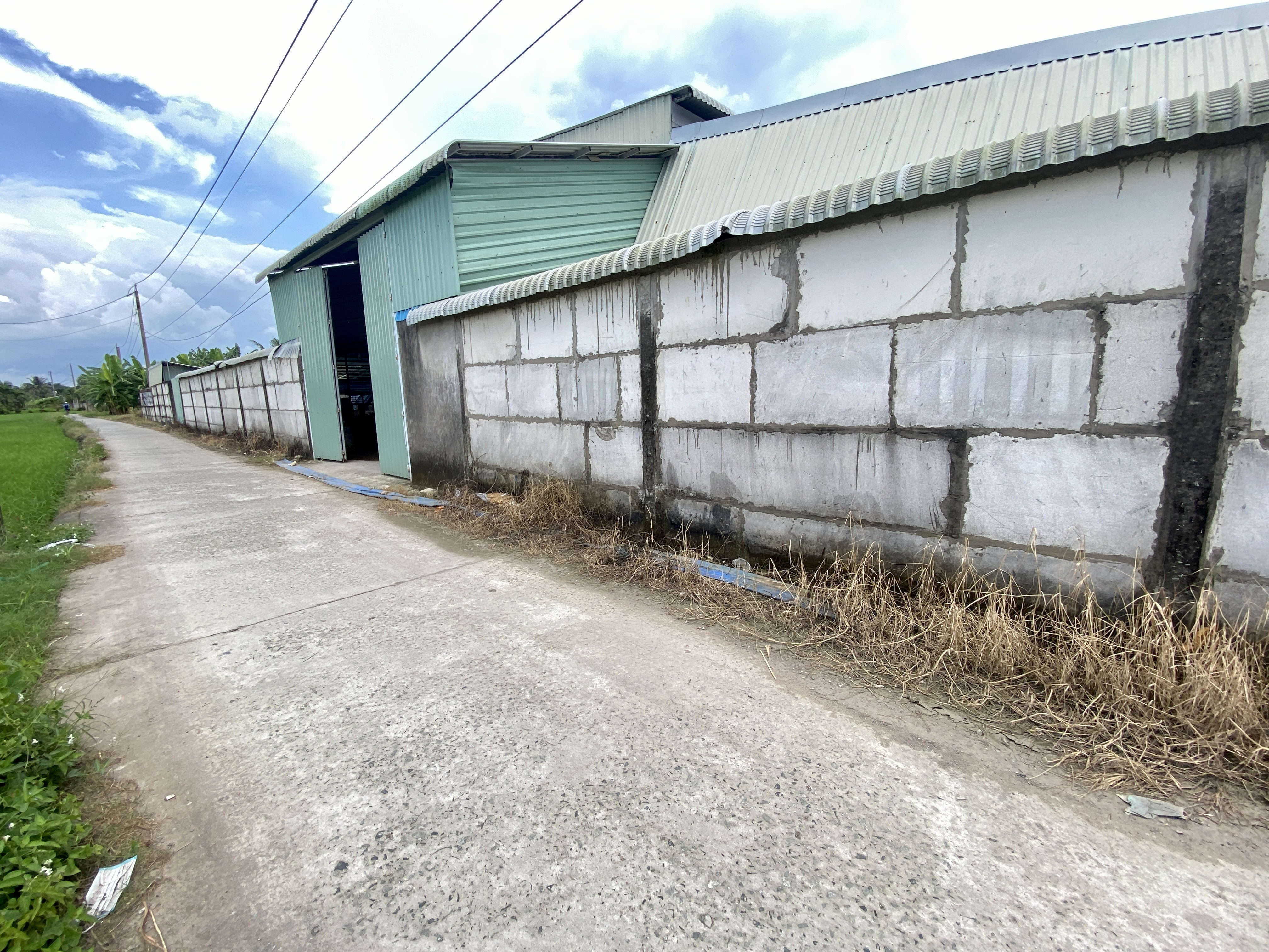 Bán đất 113.7m² ngang 5m giá 850 triệu Xã Nhựt Tảo