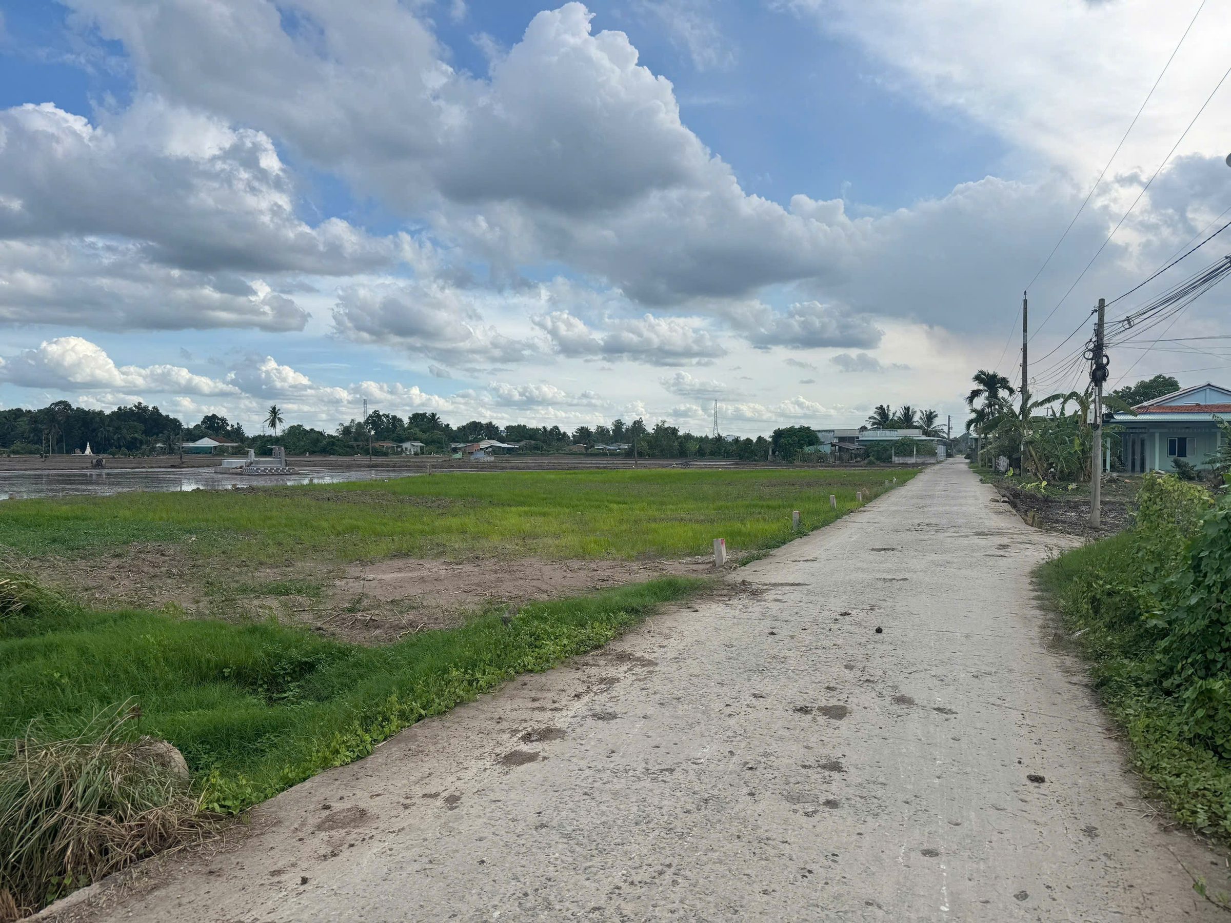 Bán nền thổ 5x28.5 mt Nguyễn Văn Thọ ra TL833 1km thuộc Xã Nhựt Tảo Tỉnh Tây Ninh