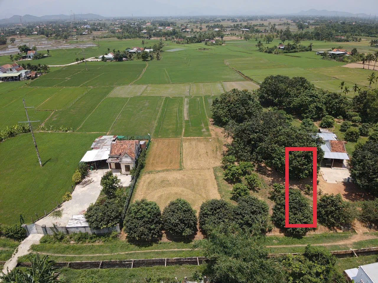 0909016848 Bán đất thổ cư Bắc Ninh Hoà 202m² ngang 5m dài 40m tại Xã Ninh An Thị xã Ninh Hòa