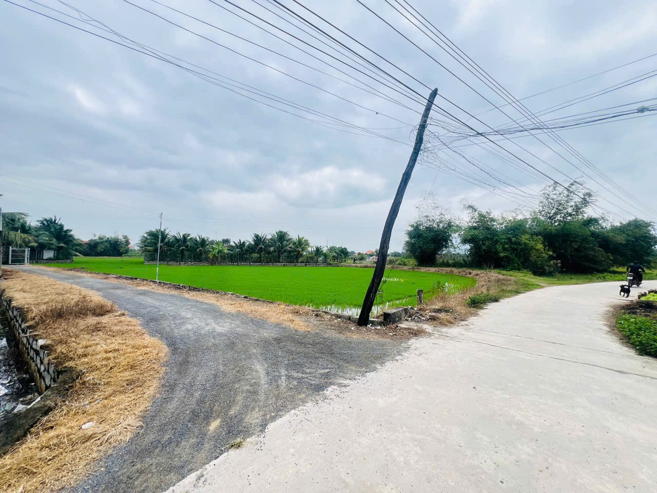 Tuân Thừa Ninh Bình 
🌈 Đất gần trung tâm Thị Xã Ninh Hòa 
+Vị trí : Tuân Thừa - Ninh Bình 🌈
+ Giá chỉ từ  499tr
+ DT : 122m2 ( Full thổ cư) 
+ Ngang 5,5m 
+ Đường bê tông , ngay khu dân cư , đầy đủ tiện ích dân sinh ....
+  Bao sổ sang tên thuế phí