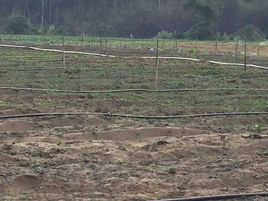Bán  đất nông nghiệp 45000m² , giá 10 tỷ tại, Xã Ninh Loan, Huyện Đức Trọng, Lâm Đồng