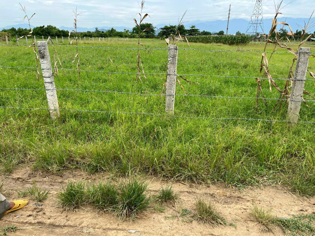Bán đất 3403m đã bán