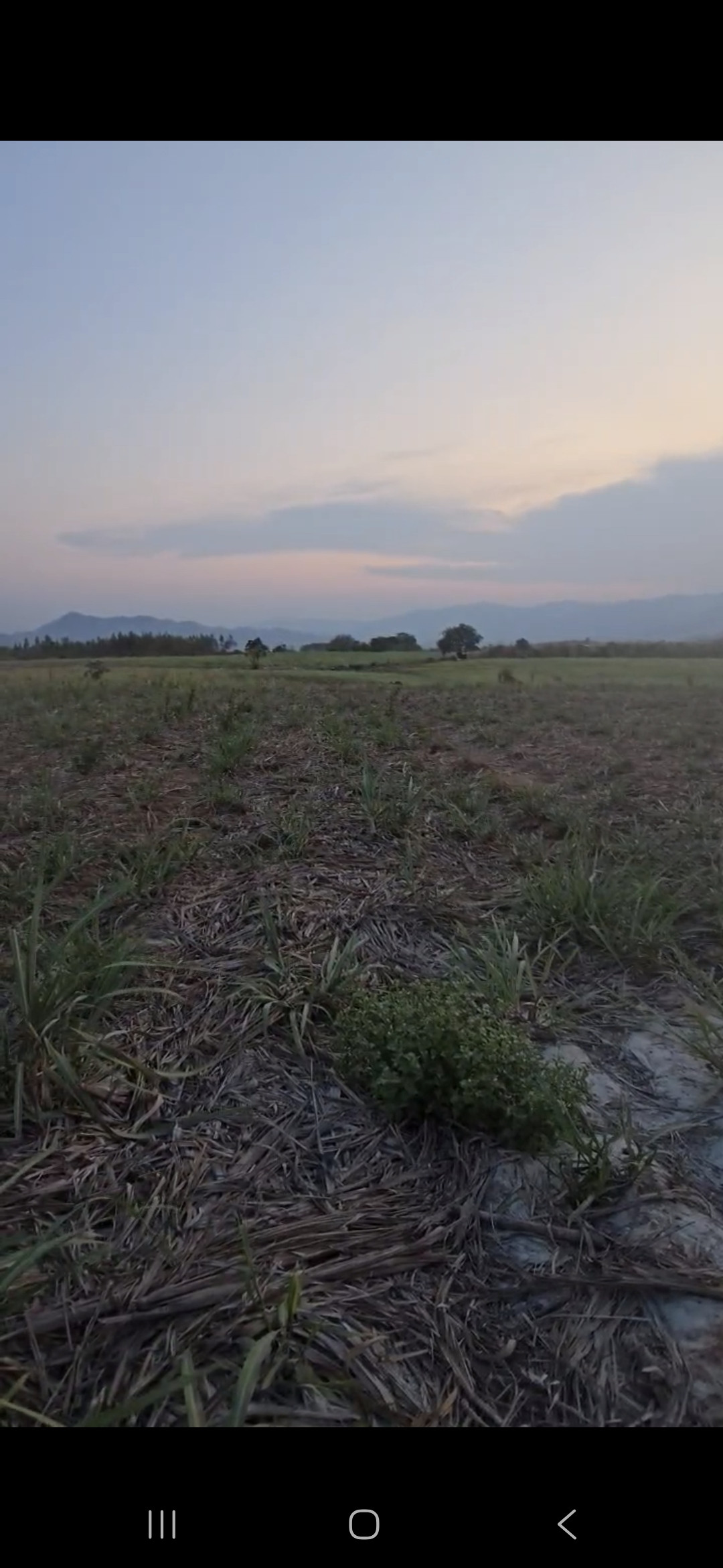 Bán Đất 1000m² giá 120 triệu tại Xã Ninh Sơn Khánh Hòa
