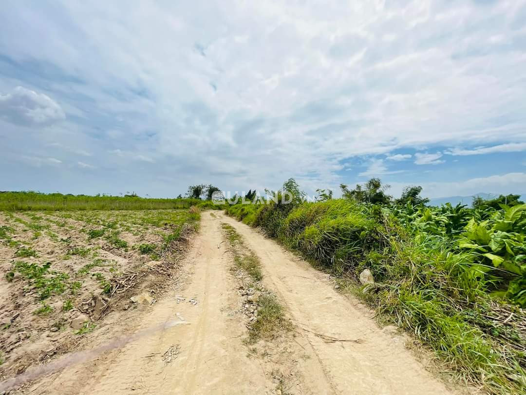 Buôn sim, Ninh tây. Tổng diện tích 1ha với 100m mặt tiền đường ô tô vào tận đất,mặt sau bám suối 100m. Loại đất chn quy hoạch cln.  Giá 1ti3 thương lượng