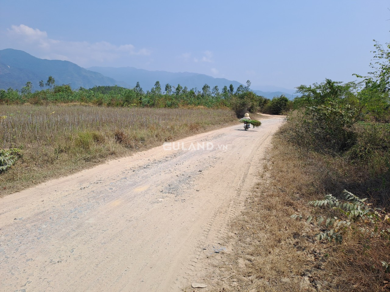 Đất QH thổ 150m ngang 2Ha Buôn Lác, Ninh Tây, Ninh Hoà Đất 2 MT( mặt chính 150m ngang đường đất 7m QH thổ, mặt phụ ngang 175m đường đất 3m.