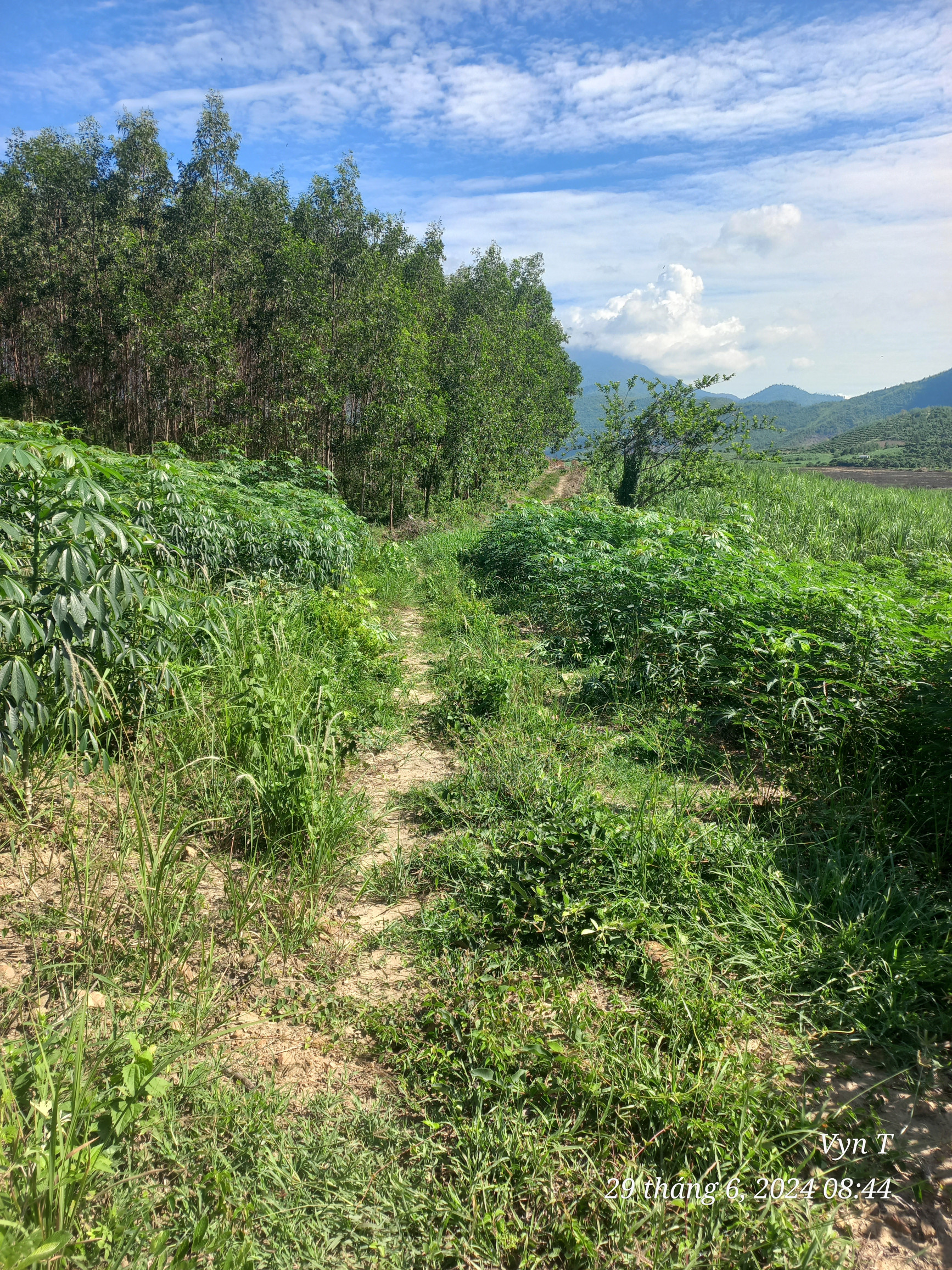 0938.113.403 Ms Thảo - 2ha1 RSX quy hoạch CLN Ninh Thượng, ô tô tận đất