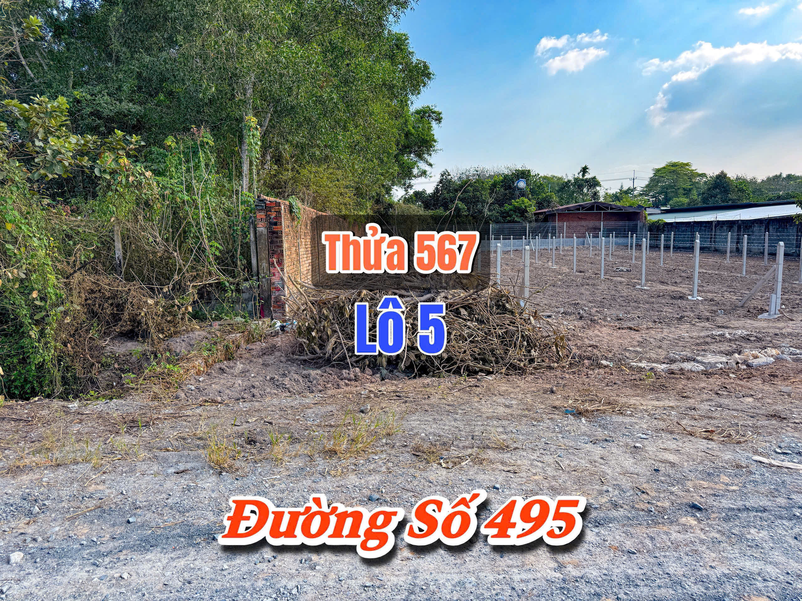 Bán đất Củ Chi, lô đất MT đường số 495, dt 204m2, full thổ cư, xã Phạm Văn Cội.