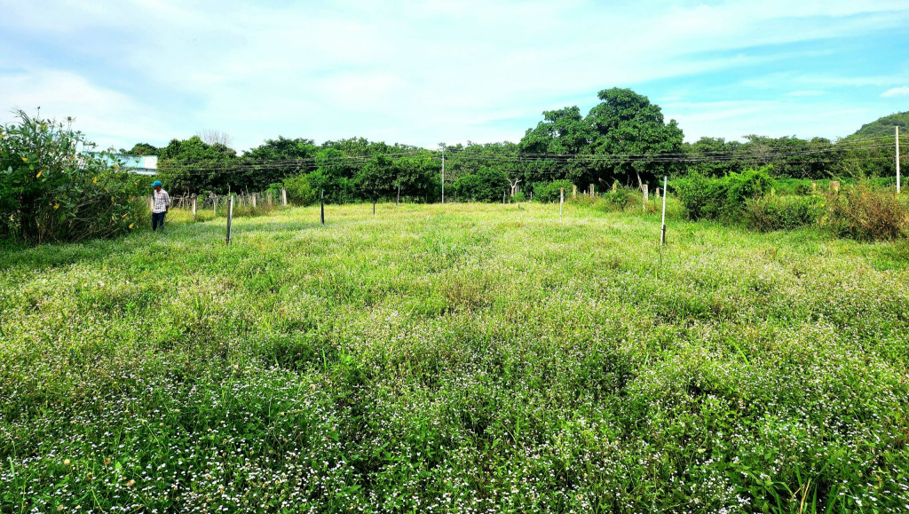 Bán đất 10000m² ngang 50m giá 790 triệu tại Xã Phan Thanh Huyện Bắc Bình