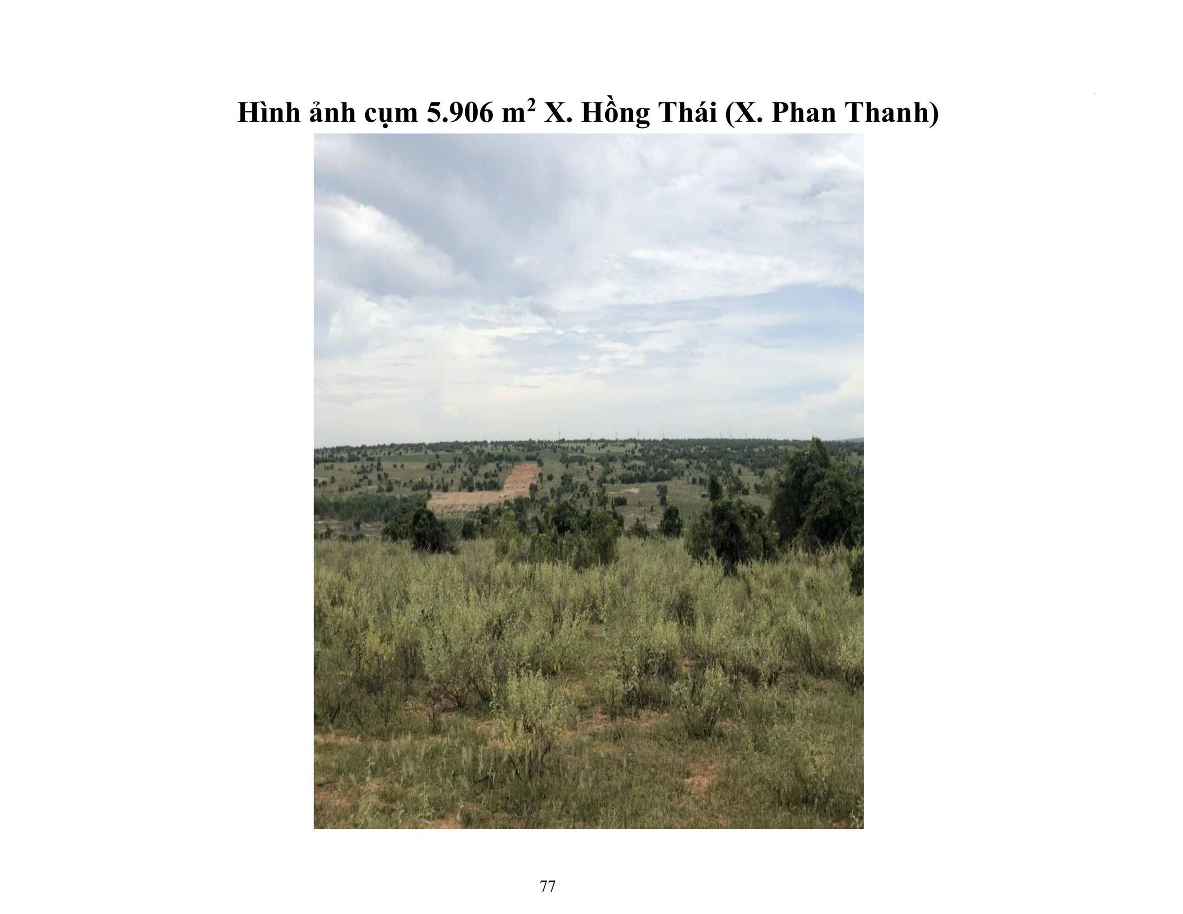 11. Cụm 5.906 m2 X. Hồng Thái (X. Phan Thanh)
Vị trí đất : Link
 THÔNG TIN LÔ ĐẤT
● Hướng: Tây Bắc.