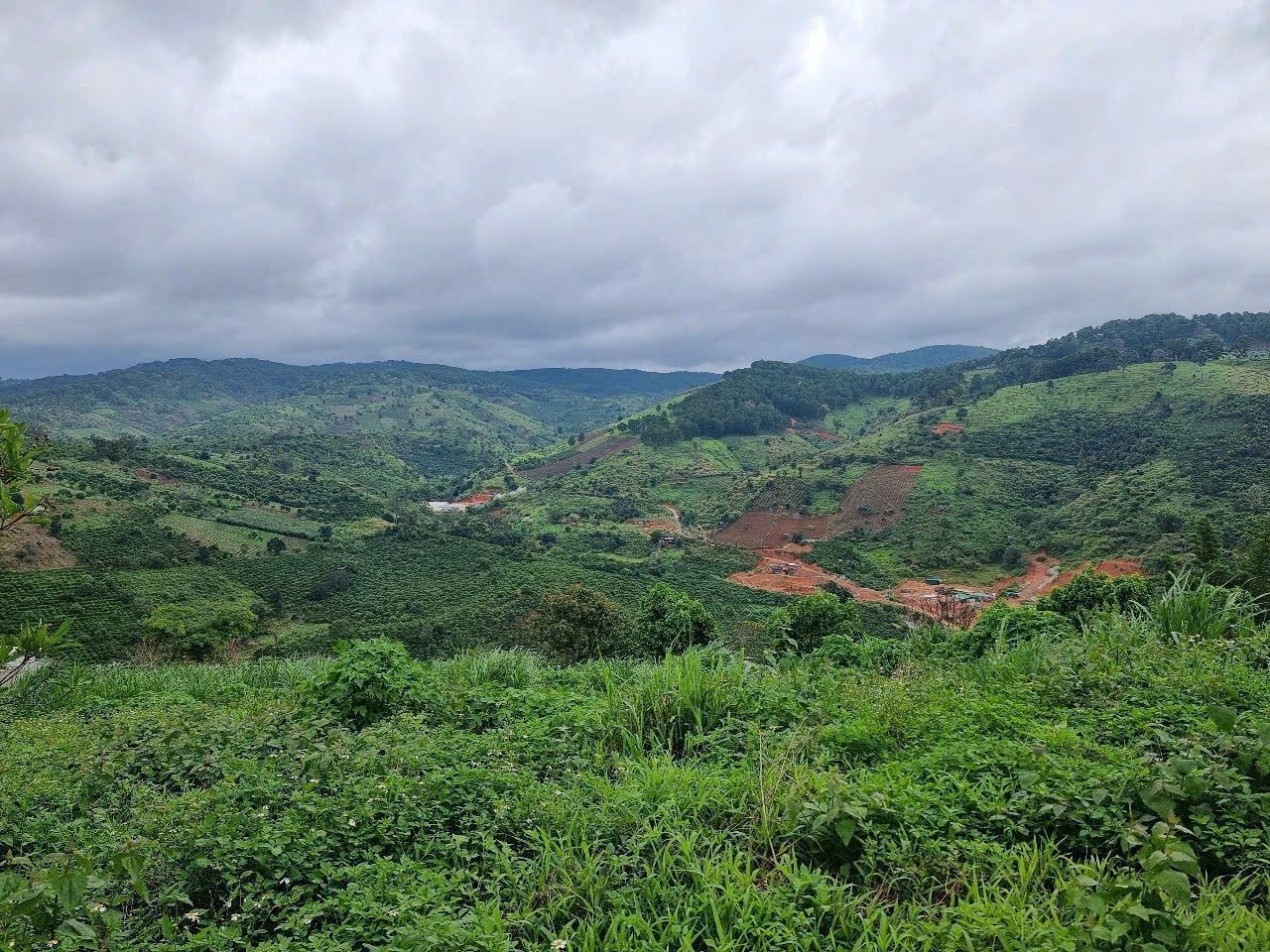 Lô đất 1000m Phi Tô - Lâm Hà - Lâm Đồng🏠🌲có 100m đất thổ cư- Giá 1 tỷ giá rê cần bán gấp