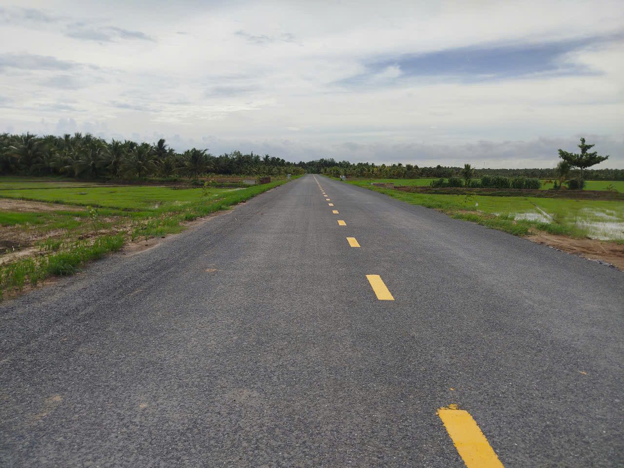 CẦN BÁN 9500M2 MẶT TIỀN ĐƯỜNG ĐẠI MONG - BÀ ÉP FULL THỔ CƯ 24.8 tỷ