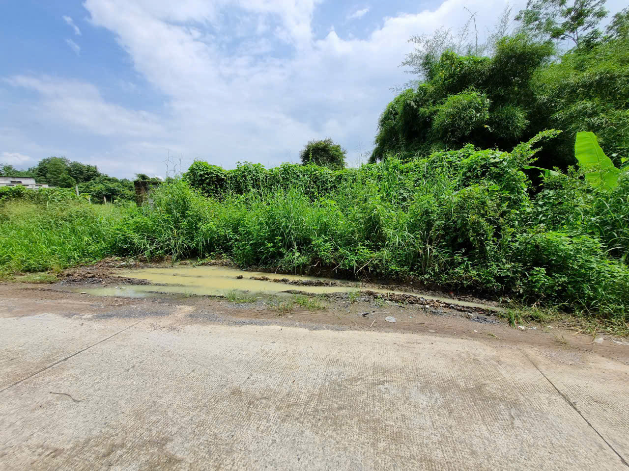 (B556) Đất xã Phú Hòa Đông, dt 3.288m2, thổ cư 2.800m2, giá 15 tỷ 800