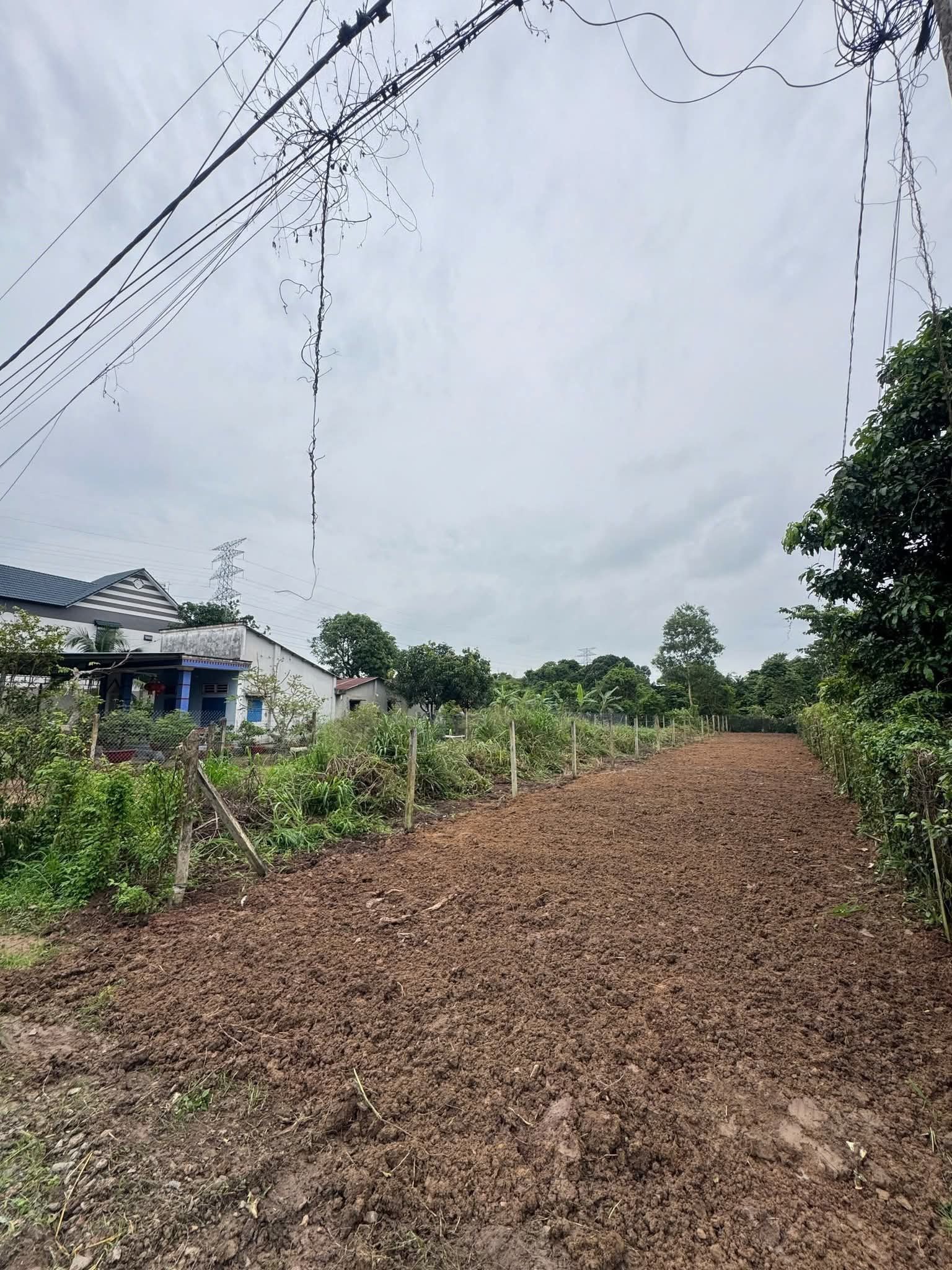 Bán đất góc 2 mặt tiền nhựa sát đường Nguyễn Văn Khạ xã Phú Hòa Đông Củ Chi TPHCM, DT: 6x56m.