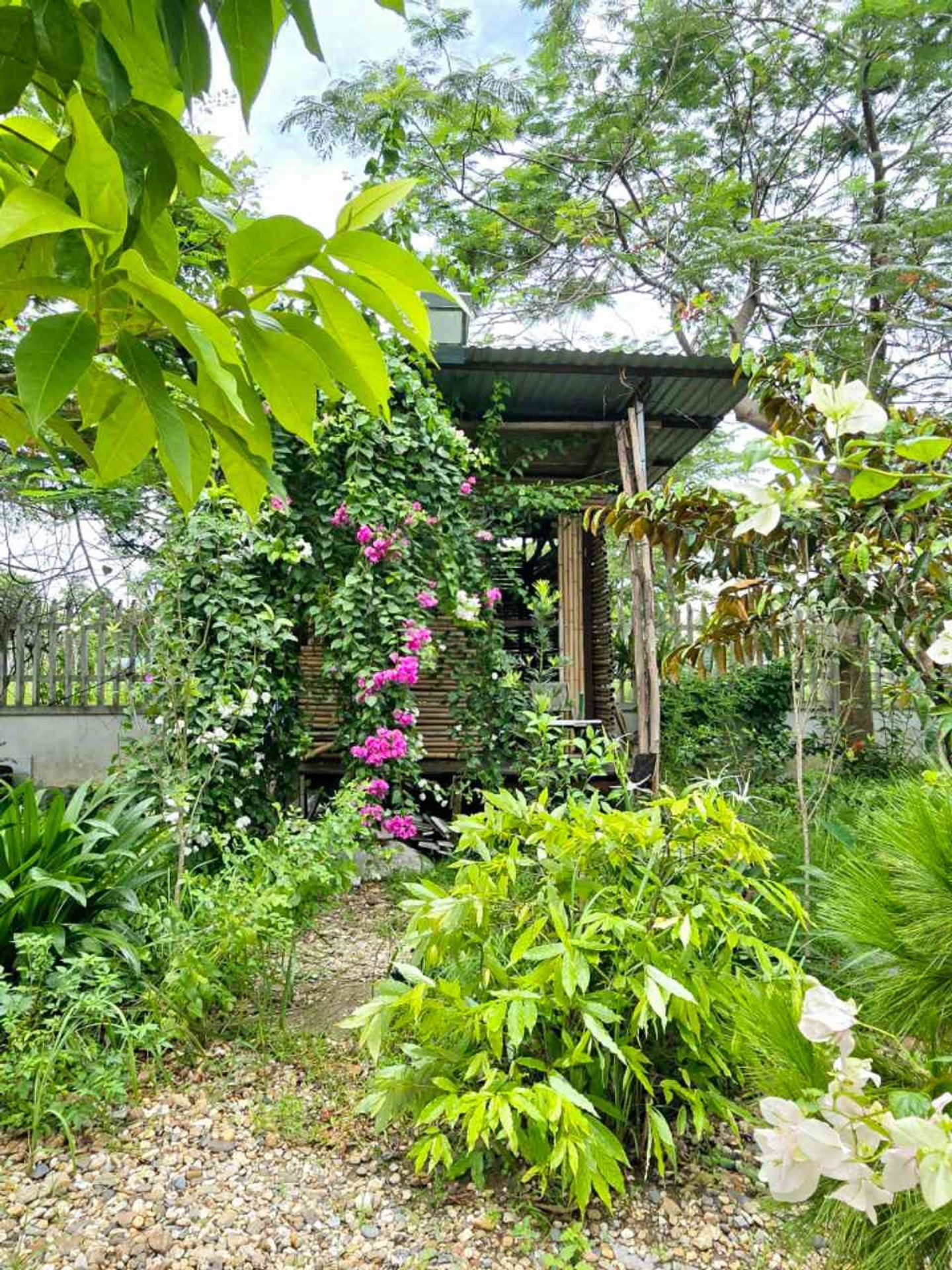 Bán Nhà riêng 120m² thổ cư 120m² giá 11.8 tỷ tại Xã Phù Khê Thị xã Từ Sơn Bắc Ninh