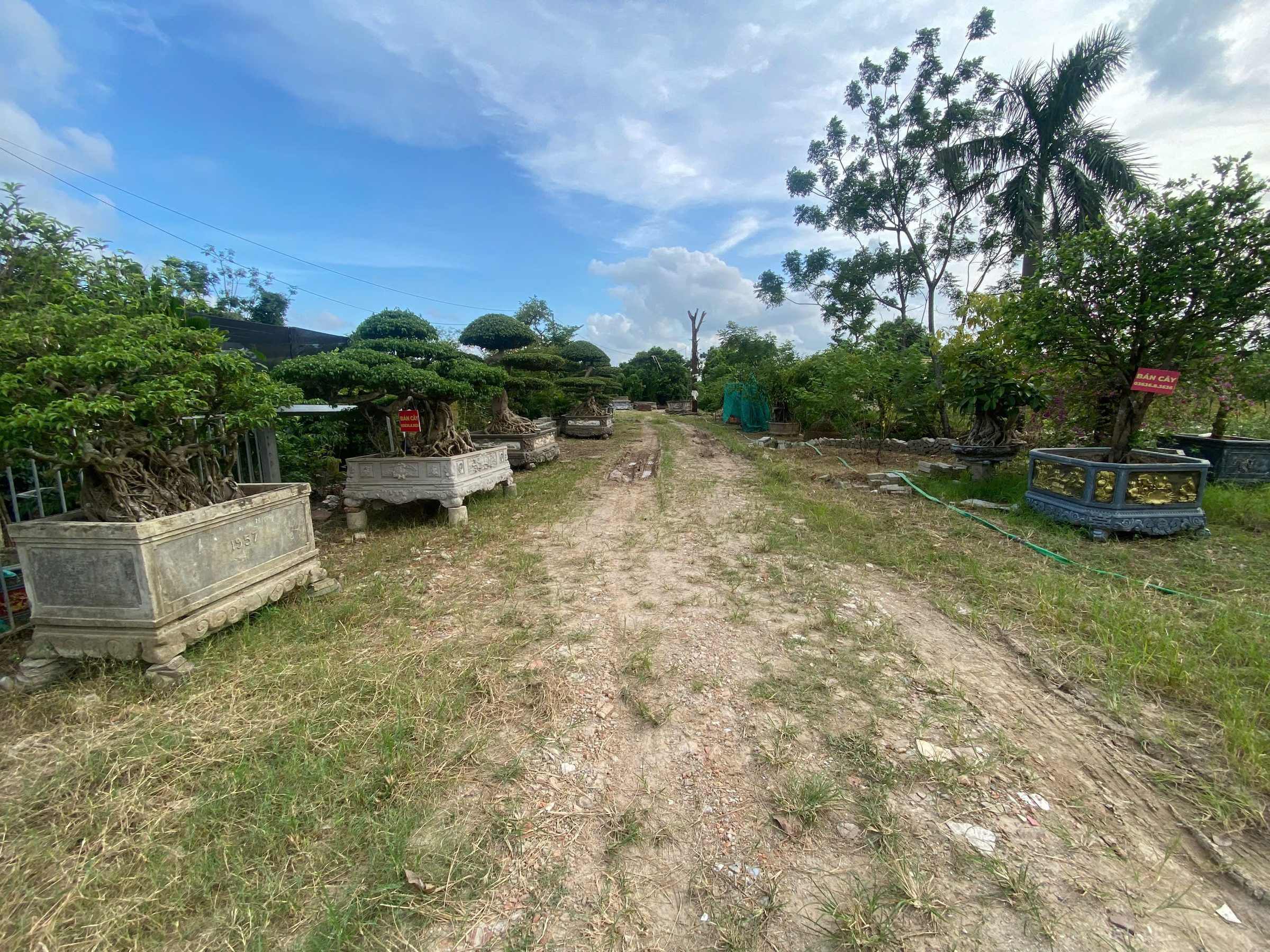 Bán Đất 1100m2 có sẵn 750 m2 thổ cư giá 1.8 tỷ tại - Chọn - Xã Phú Lâm Huyện Tiên Du Bắc Ninh