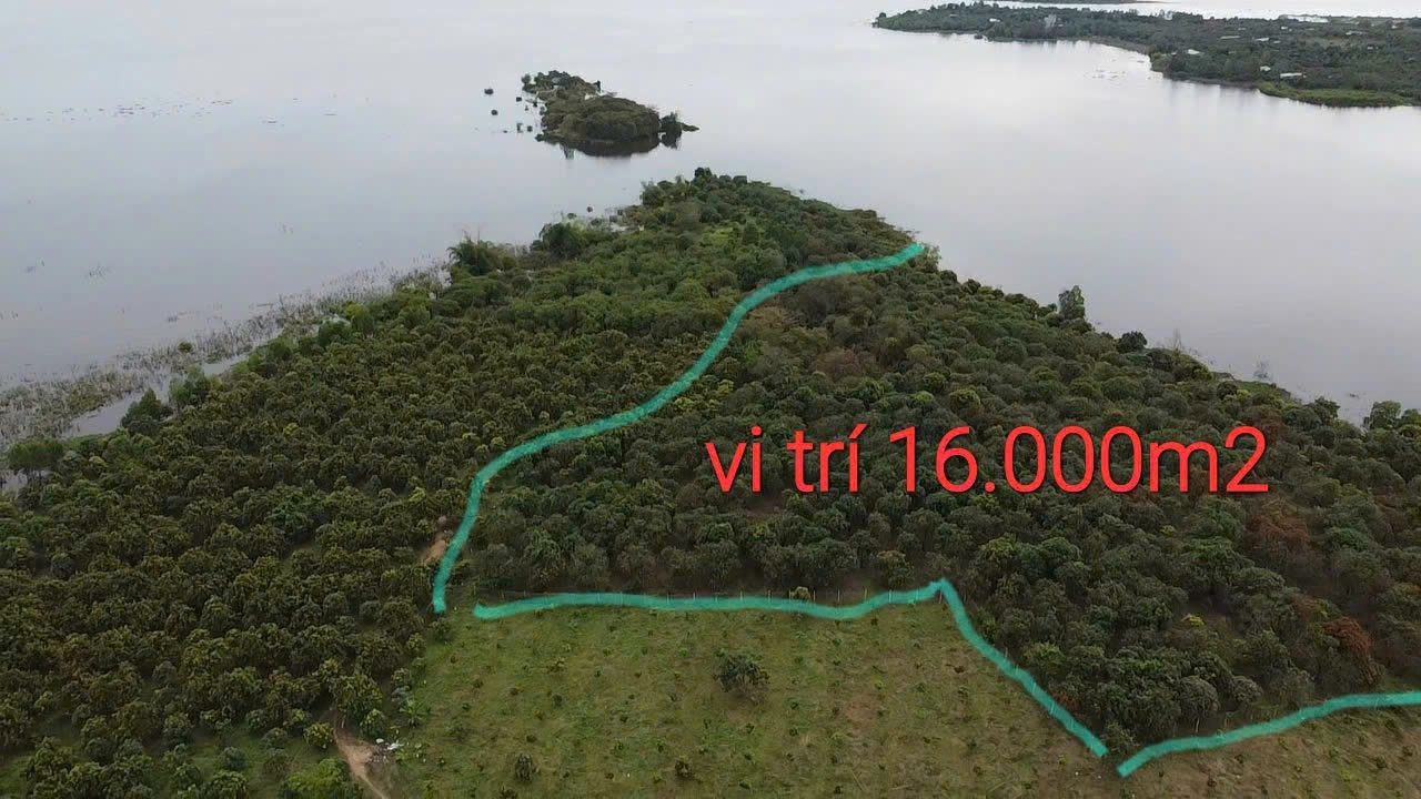 16243m2 vew sông. Có vườn cây ăn trái giá bán 9ty5.