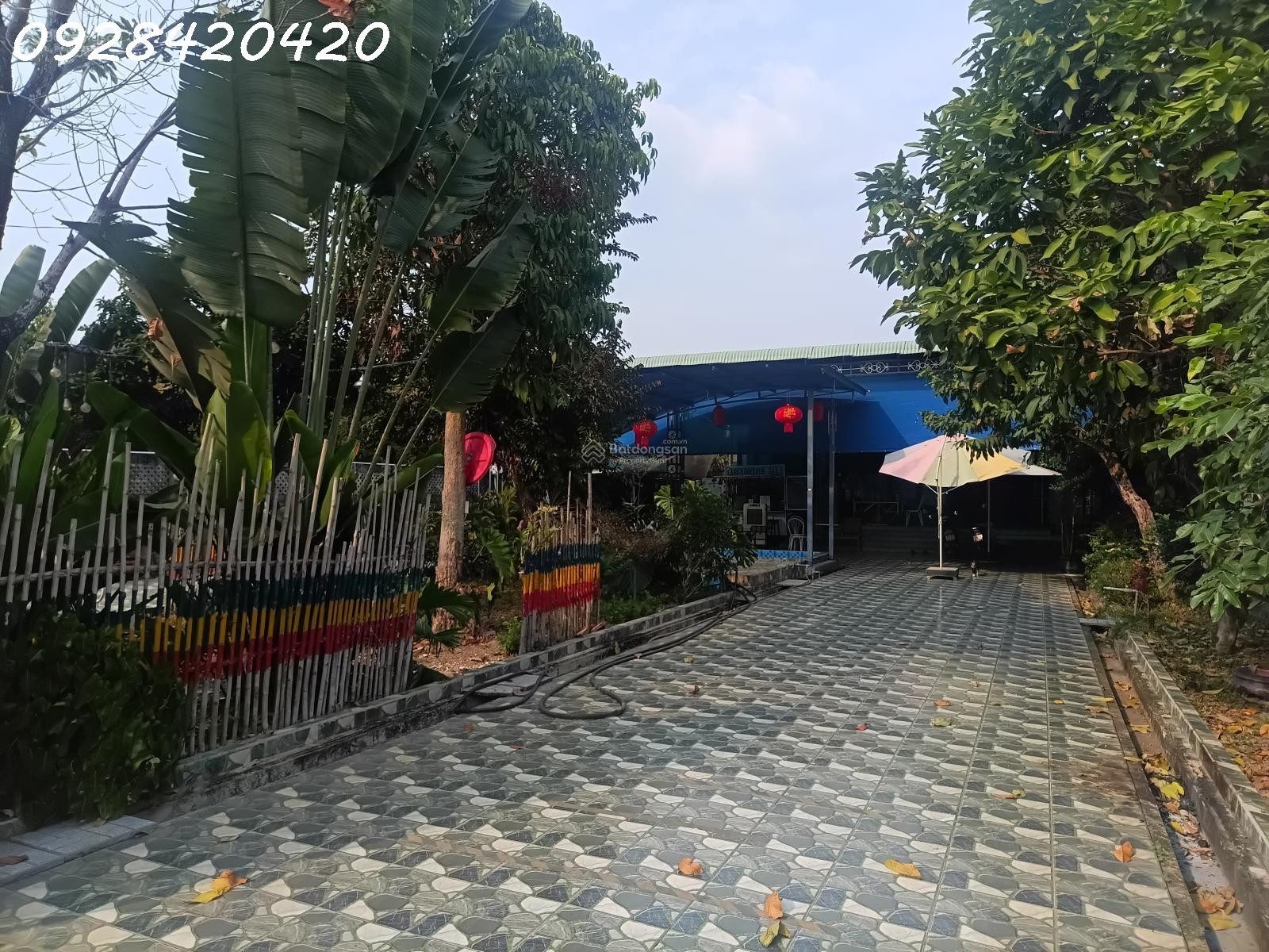 Bán GẤP nhà vườn 6145m full hồng riêng 300m thổ cư hồ bơi, nhà mới chỉ 5 tỷ (giá ngộp)