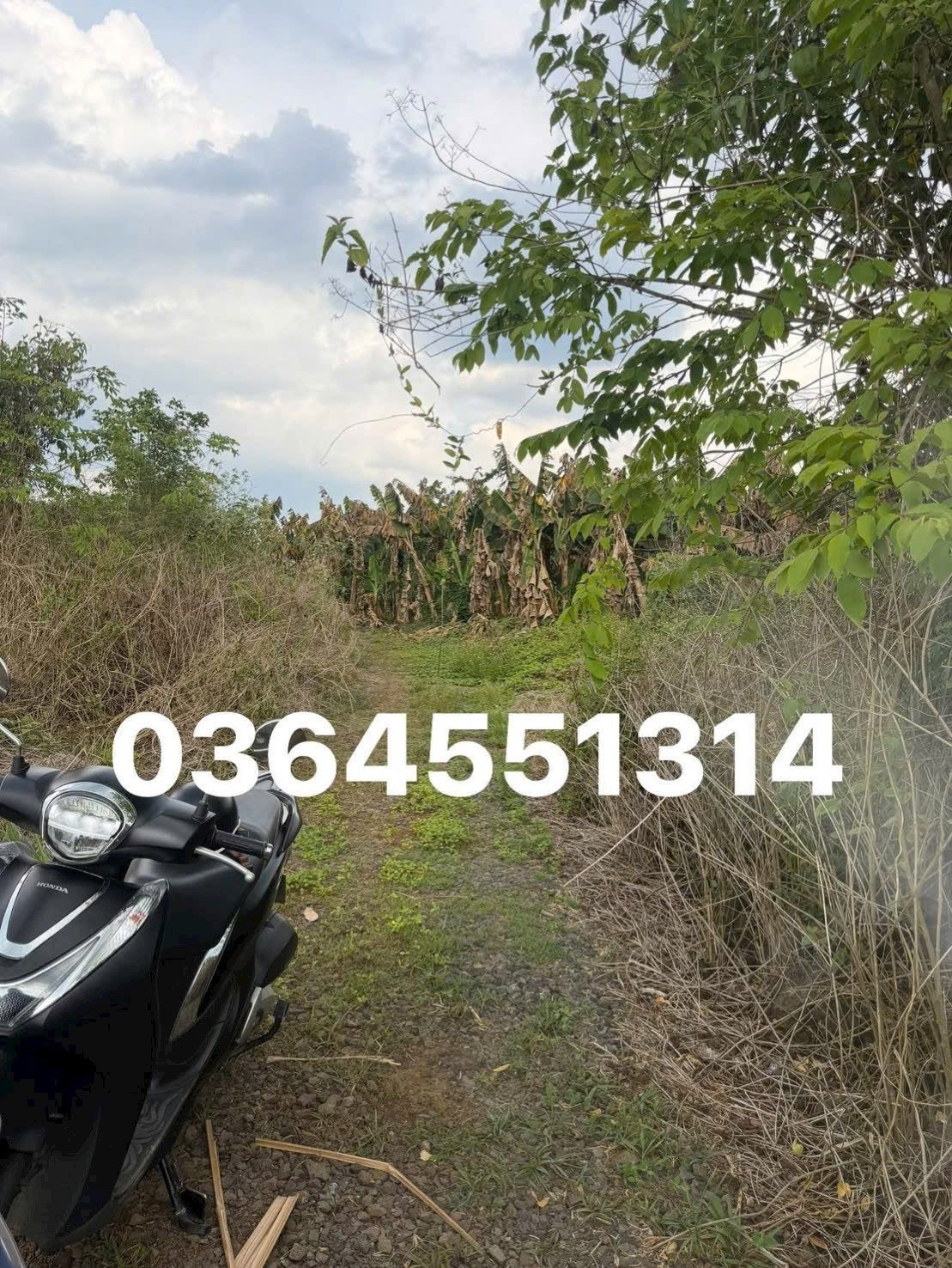 1 sào 16m đường đất