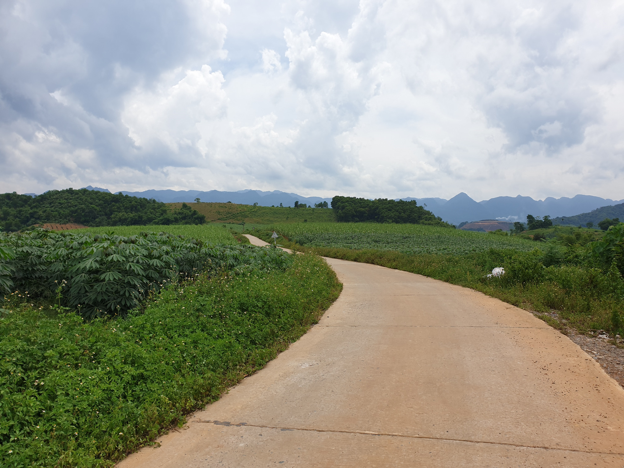 Bán đất 6000m² 6 tỷ tại Xã Phú Vinh Huyện Tân Lạc
