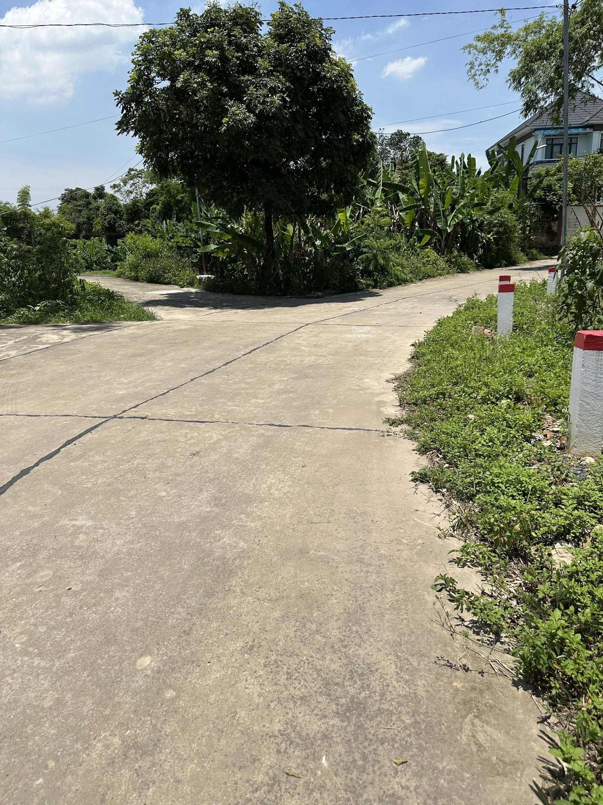 ⭐️BÁN LÔ ĐẤT RỘNG 434m2 xã Đại Phúc: DT 434m2, Có 110m2 Thổ cư