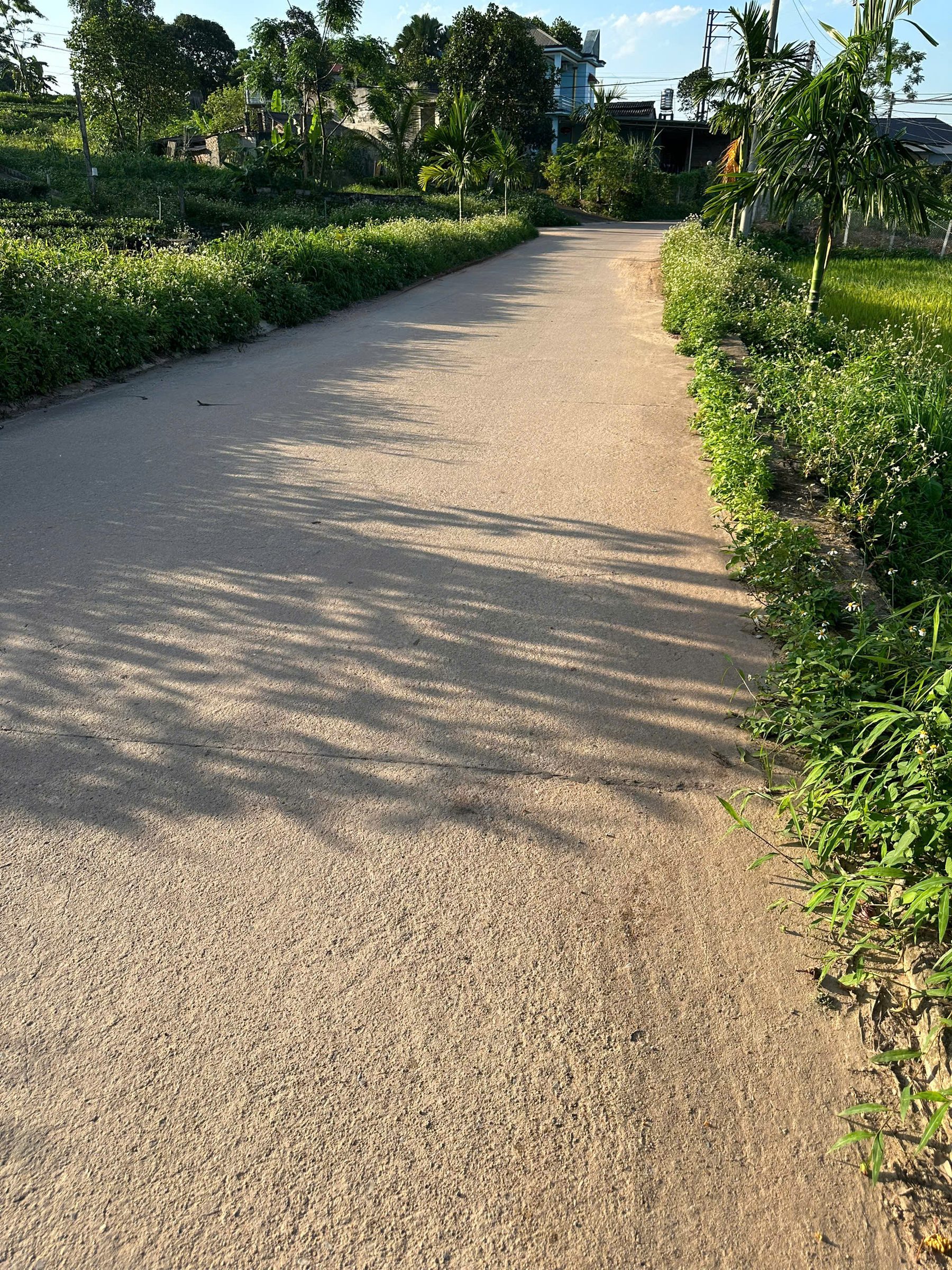 Bán Đất 100m2 có sẵn 80 m2 thổ cư giá 600 triệu tại - Chọn - Xã Phúc Trìu Thành phố Thái Nguyên Thái Nguyên