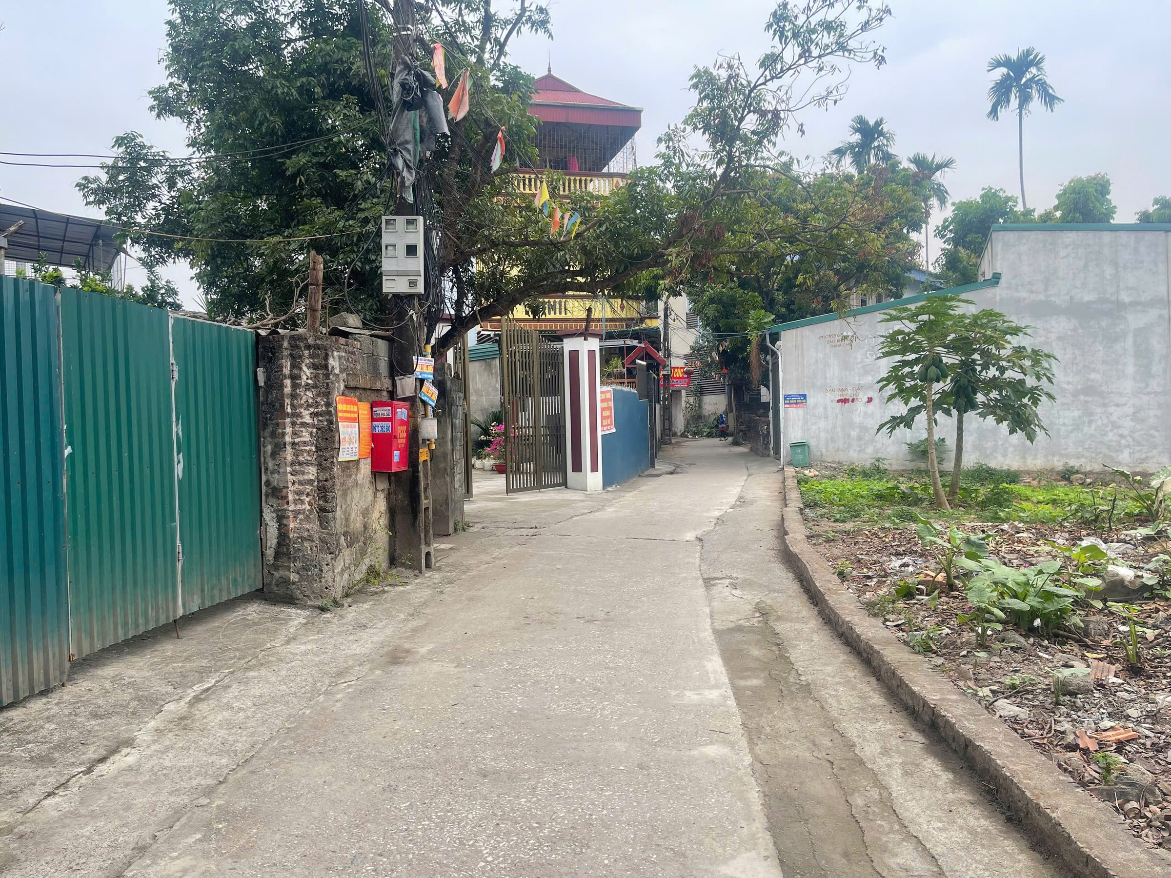 Chính chủ gửi bán 50m2 Phượng Đồng, Phụng Châu. Giá 2.6 tỷ.