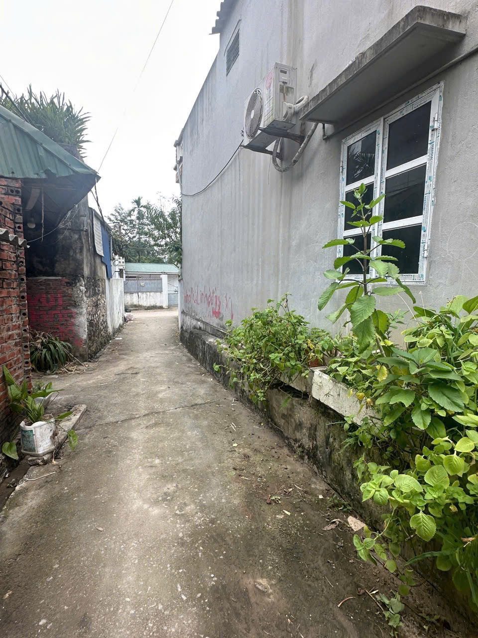Bất động sản tiềm năng tại Phụng Châu