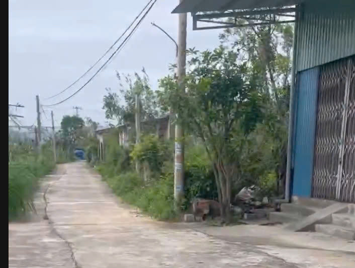 **🔥 CHÍNH CHỦ BÁN GẤP LÔ ĐẤT THỔ CƯ 434M²