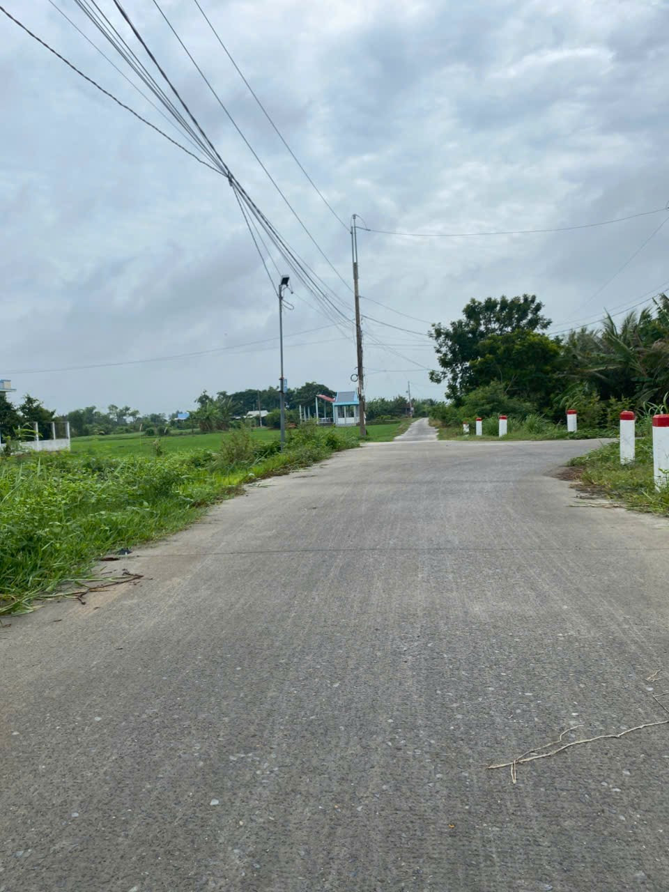 ĐẤT LÚA THÍCH HỢP ĐẦU TƯ PHÂN LÔ HOẶC XD NHÀ VƯỜN!!!