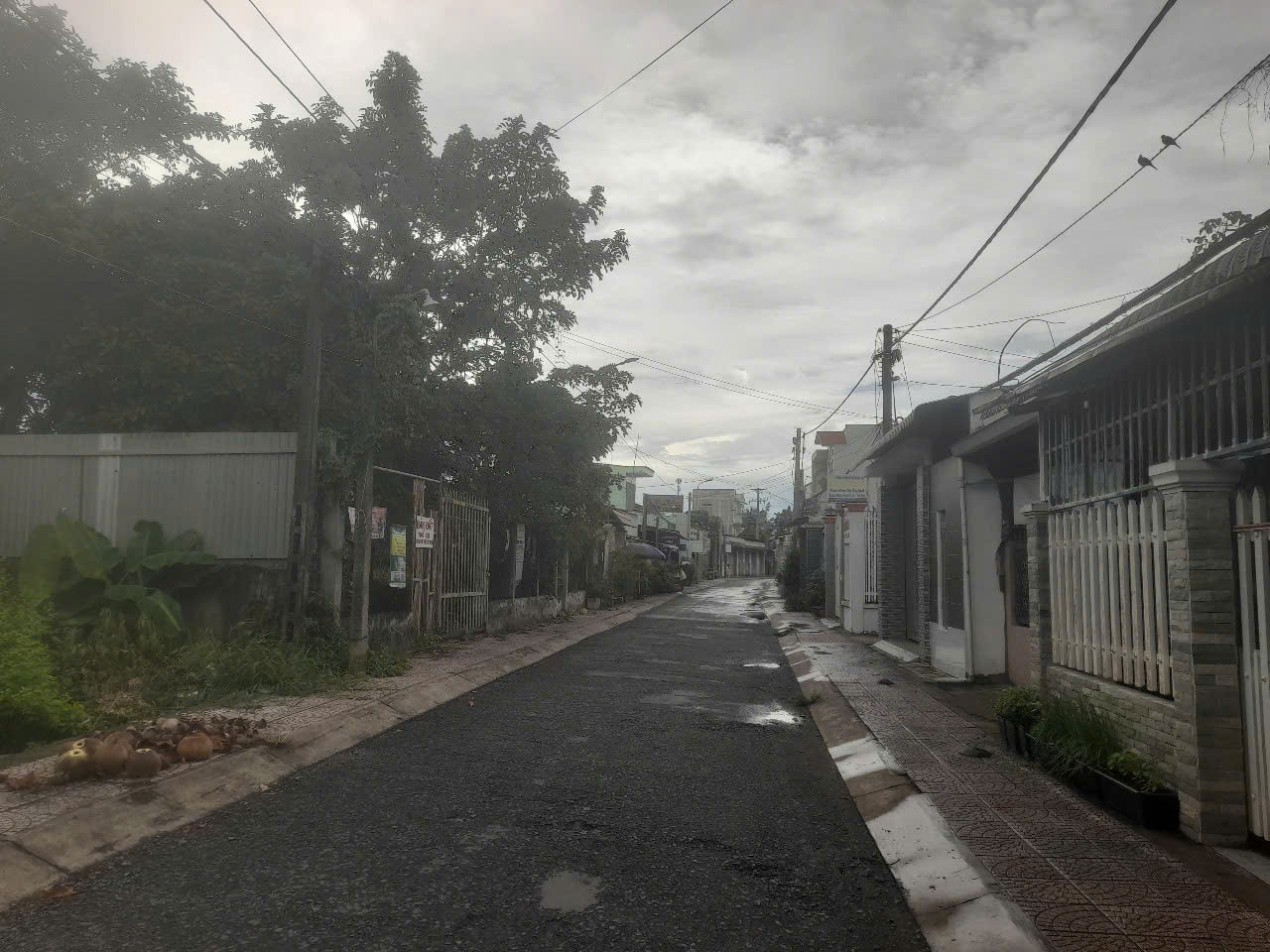 VL2-115 | 📐742,7m² | 🧭 Đông Bắc | 💰12 triệu/m²
