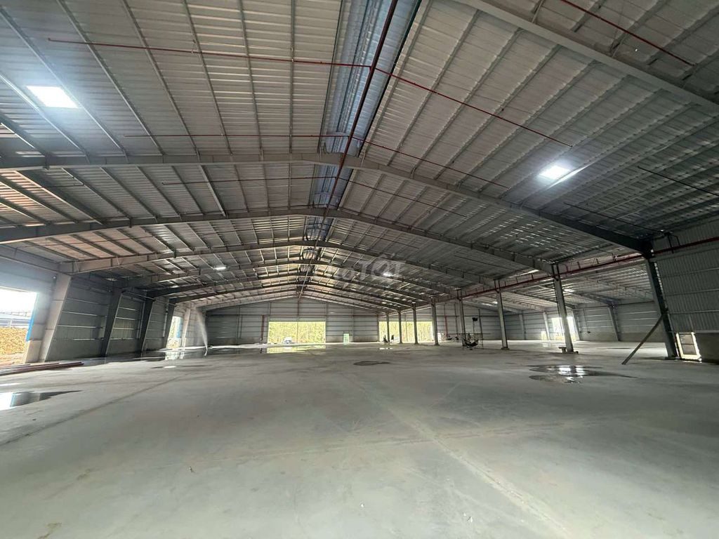 Cho thuê xưởng mới xây 5.000m2.Đầy đủ giấy tờ.Cổng xanh,Phú giáo ,HCM