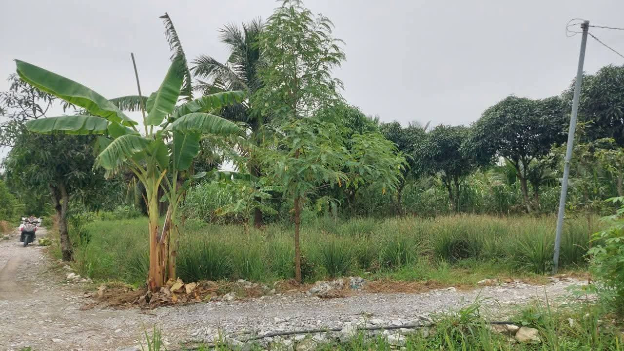 Bán lô đất công đường oto tới giá rẻ