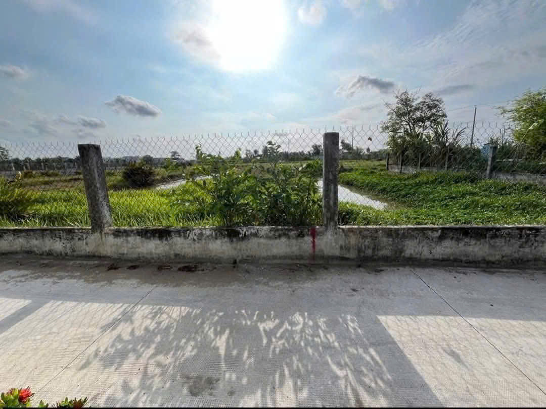 Bán đất lúa đường beton 2m xã Phước Lợi, Bến Lức dt 1540m2 giá 2,7 tỷ