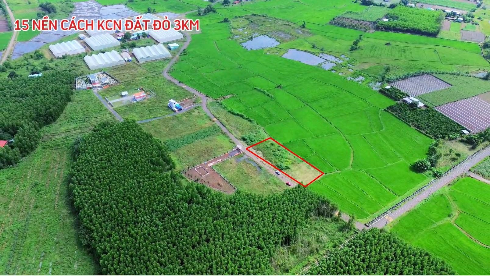 Xã Đất Đỏ Thành phố hồ chí minh
