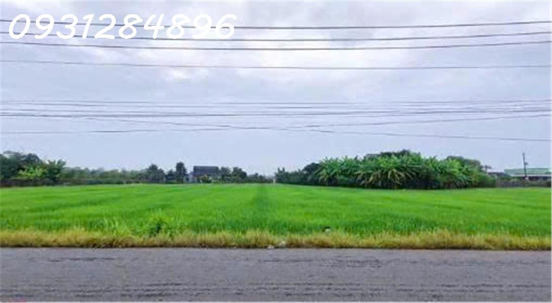 Siêu phẩm - Bán đất mặt tiền đường DT 827B, Châu Thành, Long An, DT 4.000m2, giá đầu tư