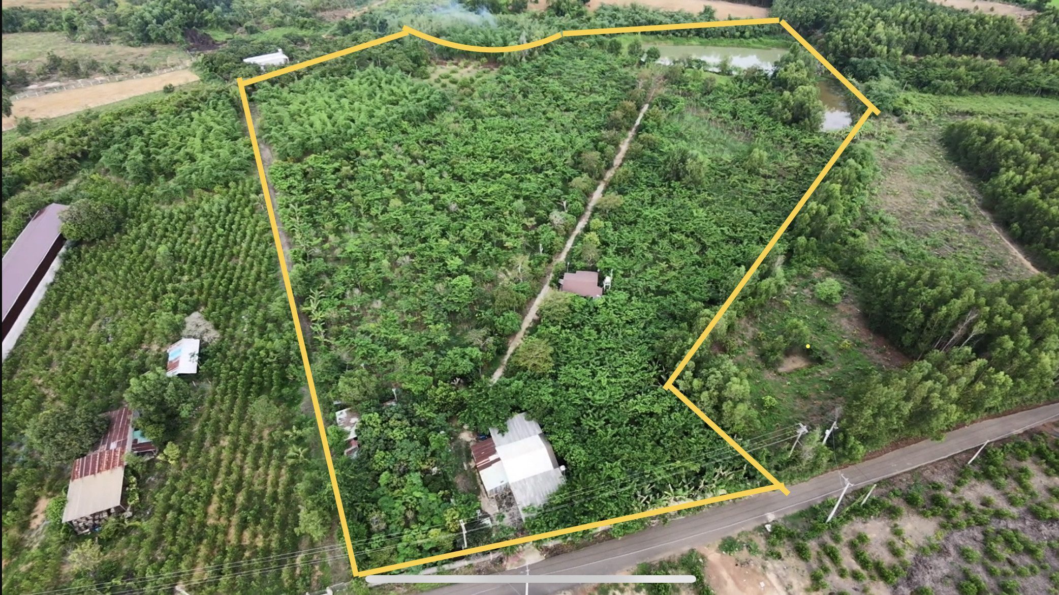 Hơn 3.4ha vườn cây ngay Phước Tân, vị trí và giá cả cực đẹp