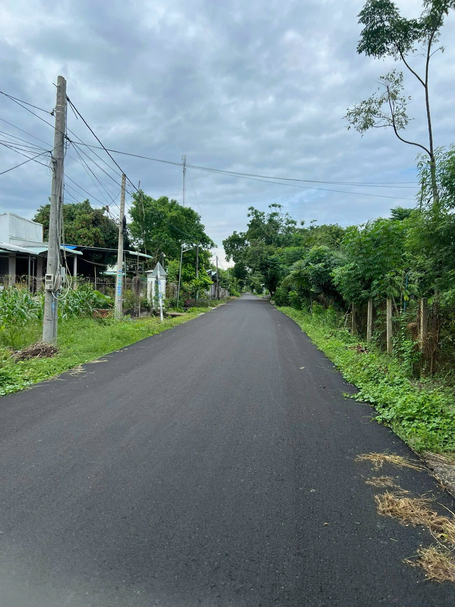 Bán đất khu dân cư phường Hồ Tràm, gần hồ Bà Tô