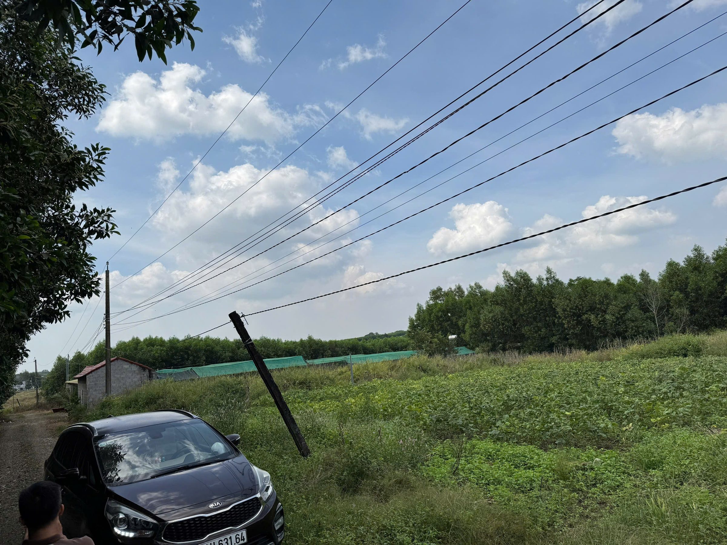Bán đất Phước Bình Long Thành 3518m2 - Ngang 60m Quy Hoạch Full Thổ Cư