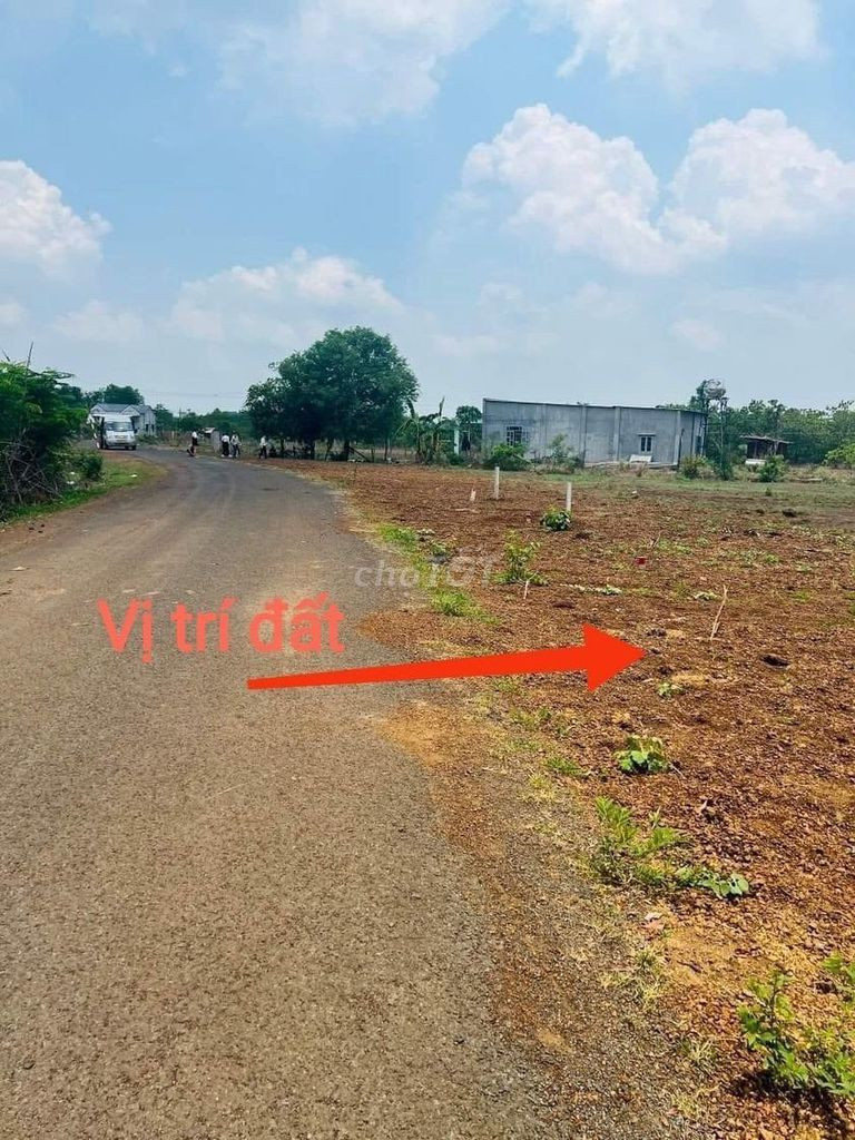 Bán đất 1095.1m² ngang 10m giá 790 triệu Xã Phước Thành