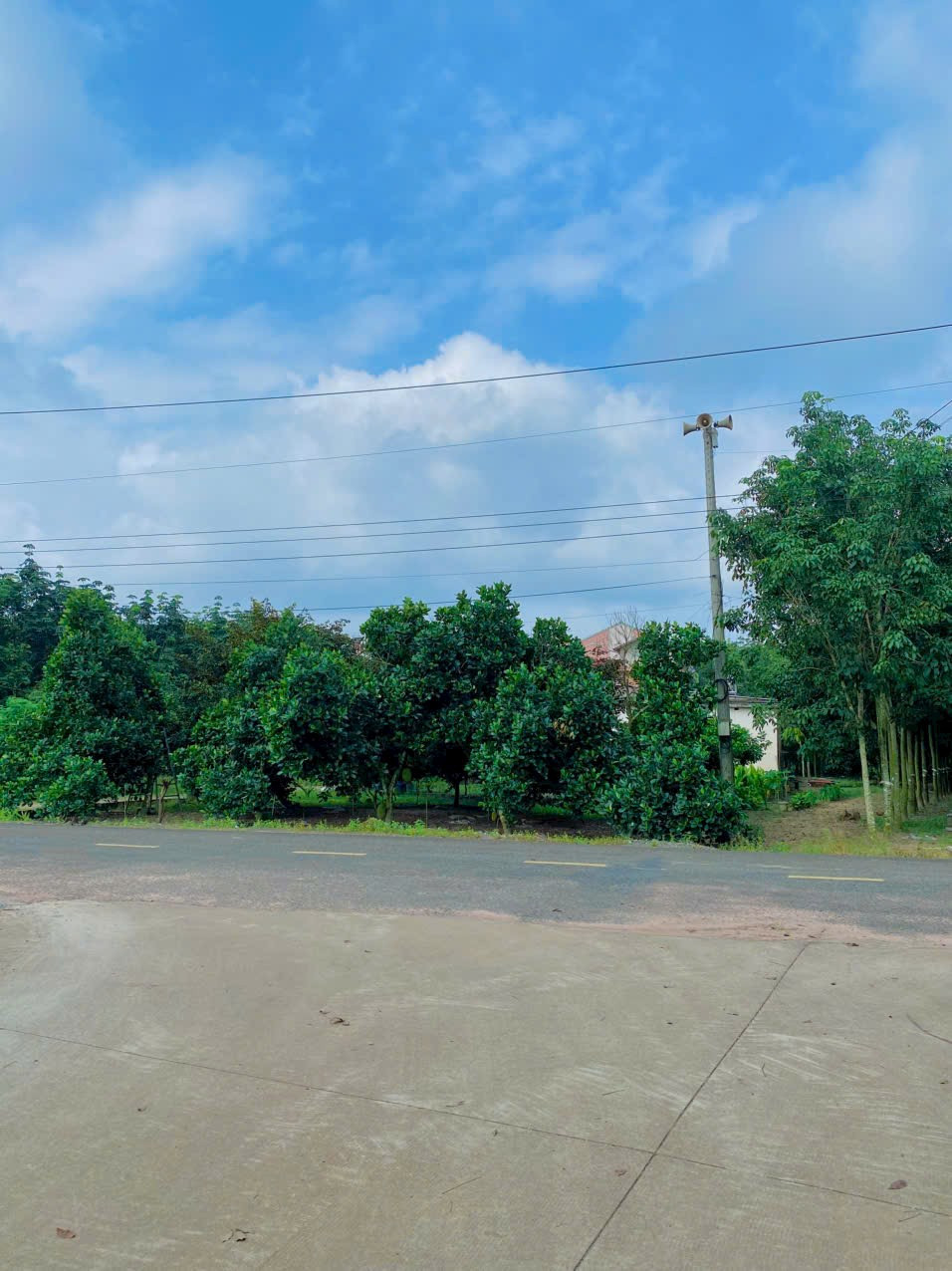 Bán đất 1272.2m² ngang 10m giá 1.4 tỷ Xã Phước Thành