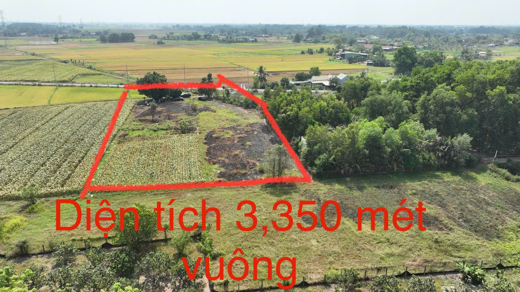 Bán đất thổ cư mặt tiền đường xe Tải 1/Võ Văn Điều xã Phước Thạnh Củ Chi TPHCM, DT: 3350m2.