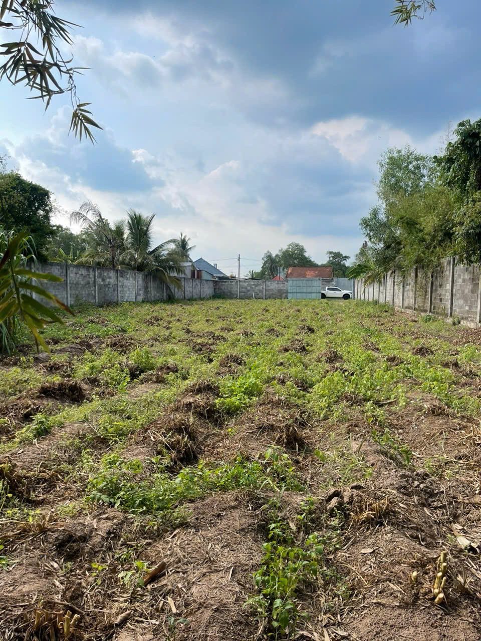 Đất nền gần Quốc Lộ 22, xã Phước Thạnh (cũ), Diện tích 1.287 M2, Giá 3,6 tỷ