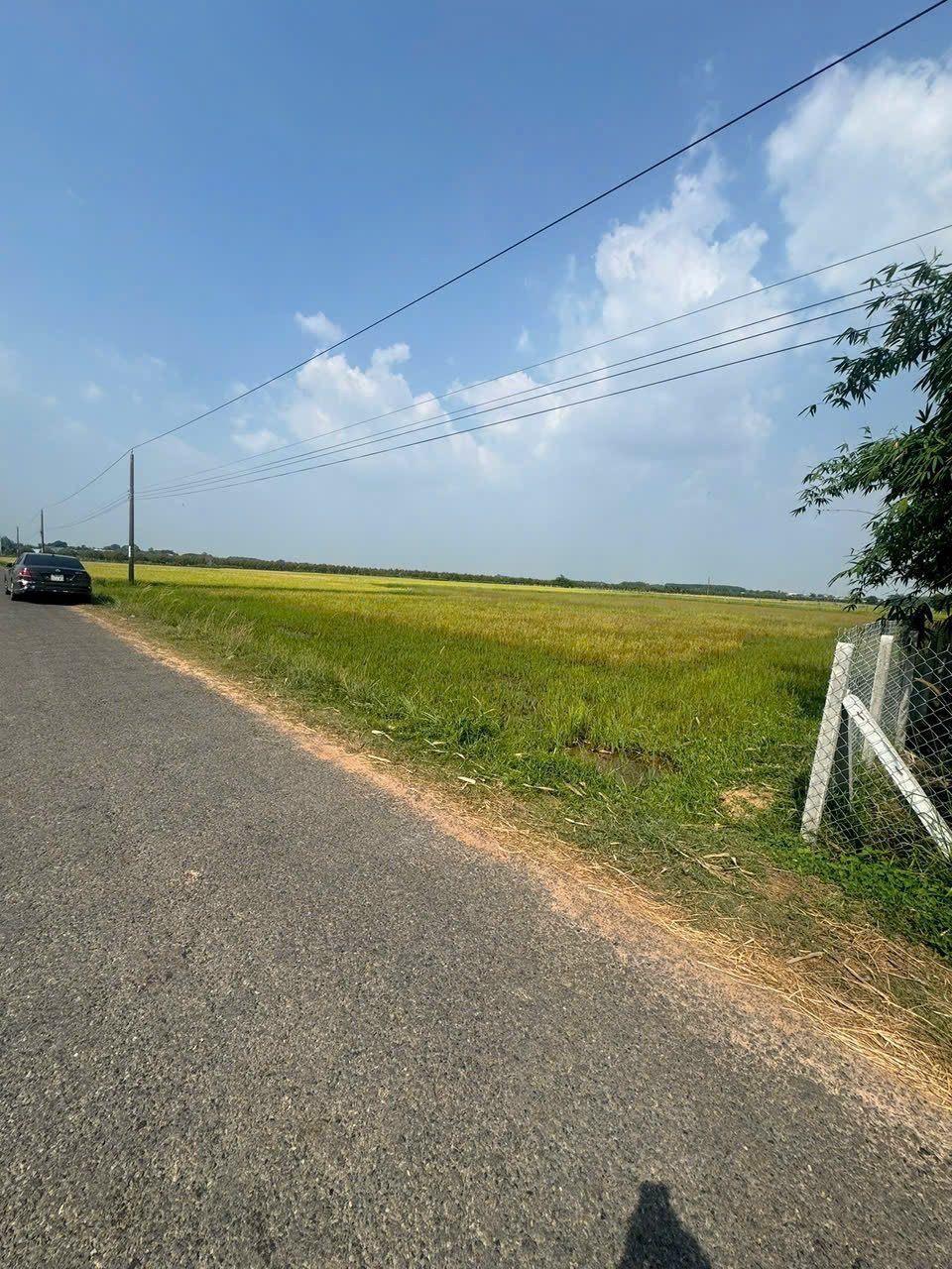 Bán đất Phước Thạnh gò dầu tây ninh