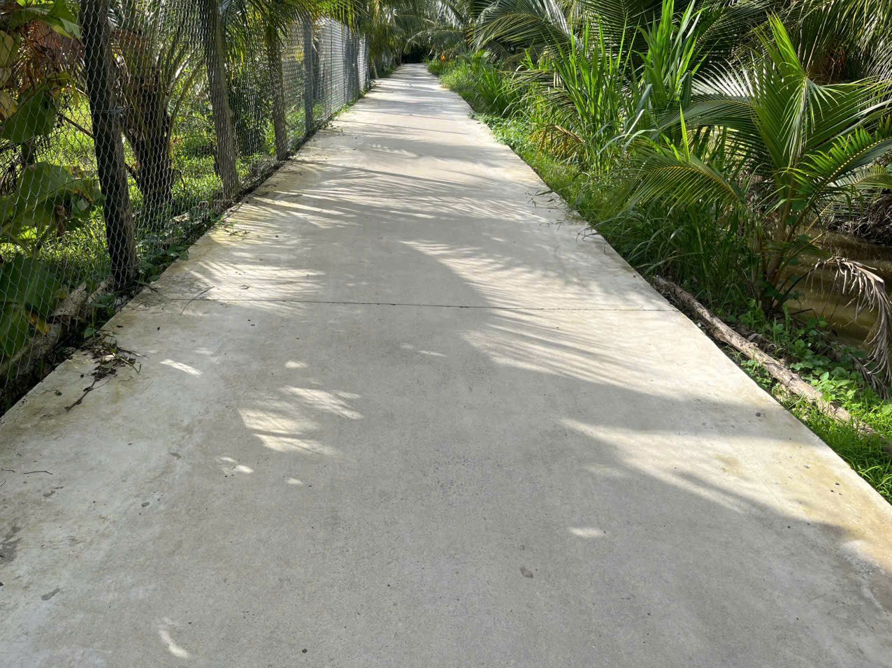 Cần tiền rẻ lô đất thổ cư đường Bê tông ô tô 3m Ba Pho, Khu Phố Phước Hòa, Phường Trung An, Tỉnh Đồng Tháp, (Phước Thạnh – TP Mỹ Tho – Tiền Giang cũ).