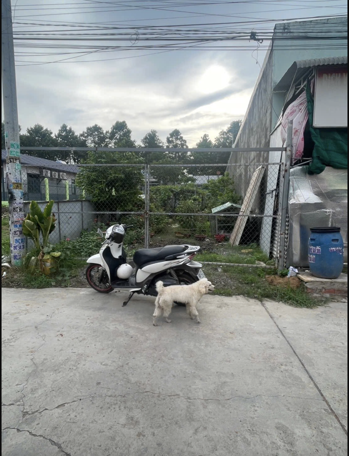 Cắt lỗ bán gấp lô đất ngay trung tâm Phước Thiền cách sân bay Long Thành 15phút, sổ sẵn công chứng ngay