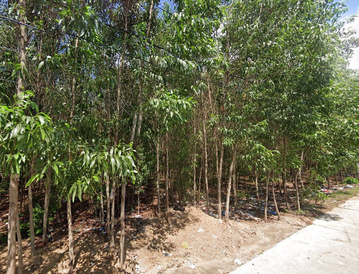Bán Đất 560m2 có sẵn 100 m2 thổ cư giá 15.2 tỷ tại Xã Phước Thiền Huyện Nhơn Trạch Đồng Nai