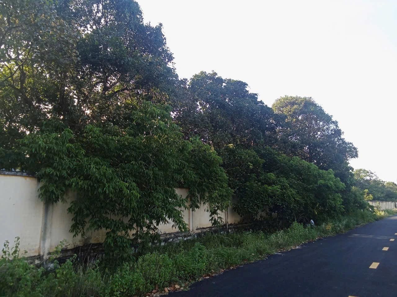Lô Đất Phước Thuận Hồ Tràm tiềm năng - Giá chỉ 7Tỷ2