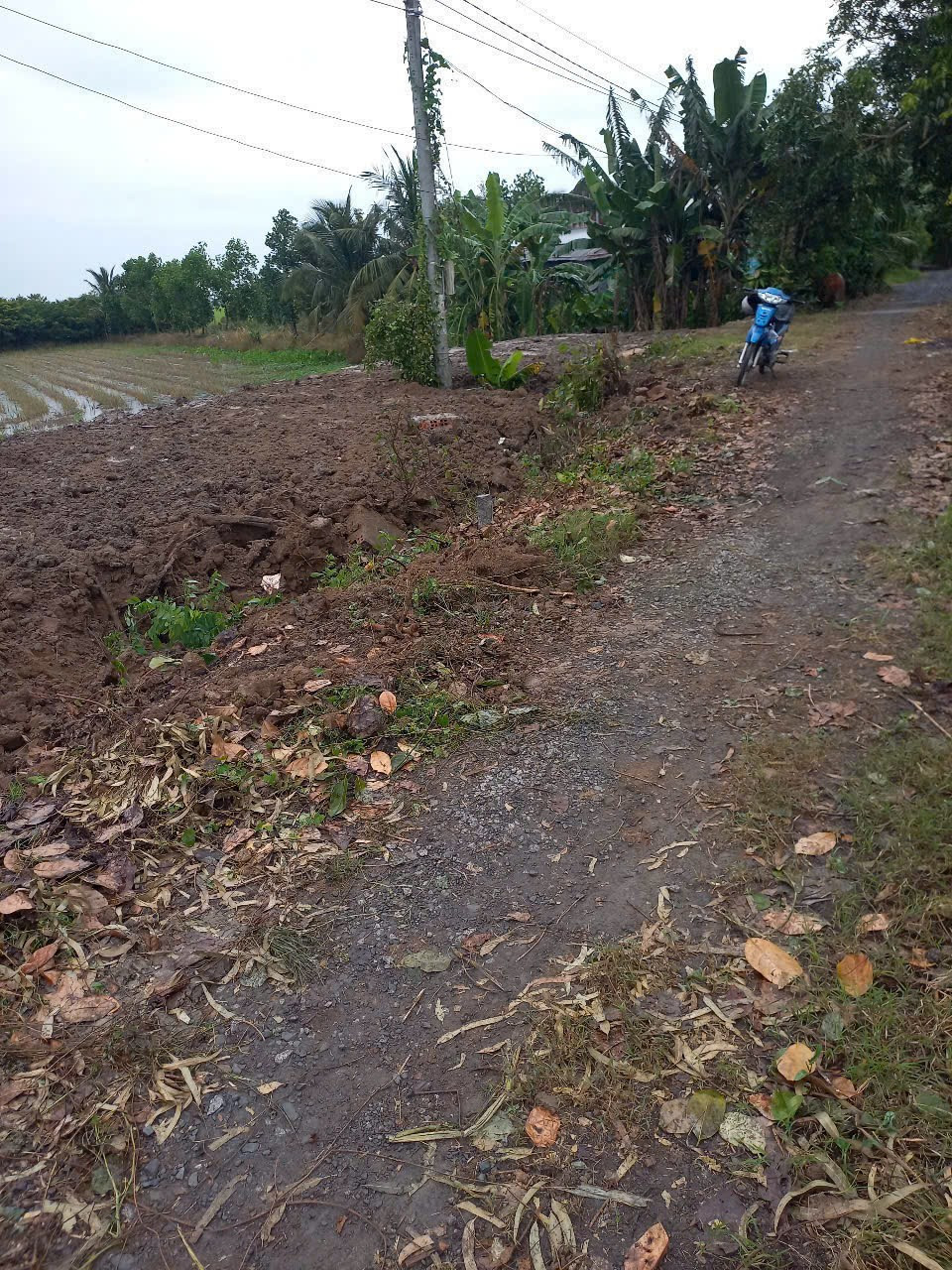 Bán 1000m đất trong đó .có 240m thổ cư 
Còn lại là đất lúa
Vị trí .xã phương thịnh .hcl .đồng tháp 
Ngang 12m giap lộ đá dài tầm 95m
Điện nước đầy đủ .sông lớn .xe 4 chổ 
Gần tỉnh lộ đt 856 và 844 . Khu vực cho lên vườn
Có nền sẵn về là xây nhà ngon