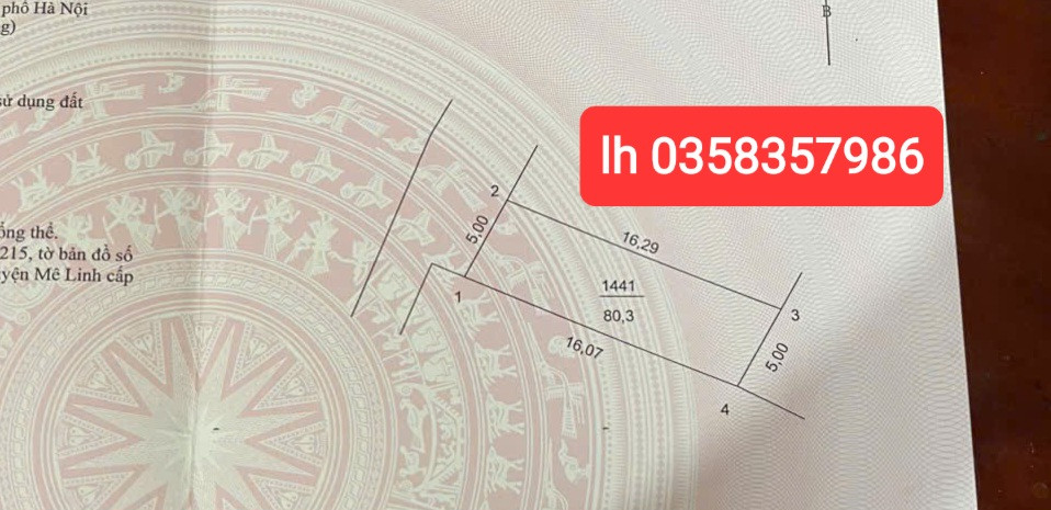Bán đất 80m² Xã Quang Minh